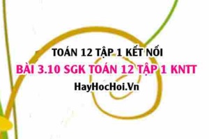 Bài 3.10 SGK Toán 12 tập 1 Kết nối tri thức